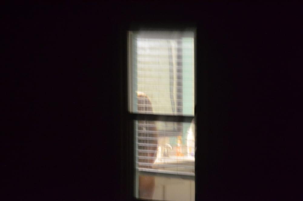 13P Neighbor's Pics