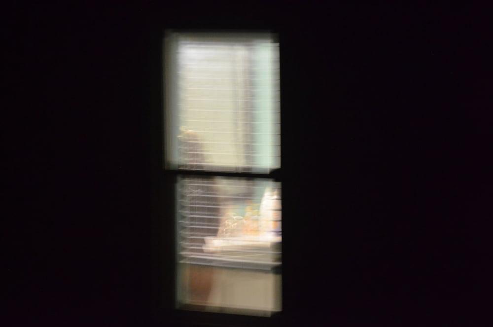 13P Neighbor's Pics