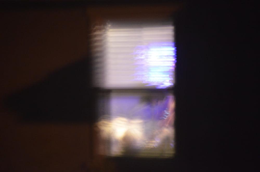 13P Neighbor's Pics