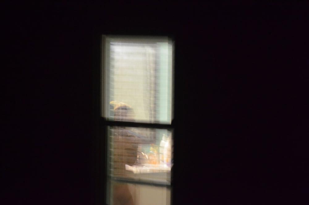13P Neighbor's Pics