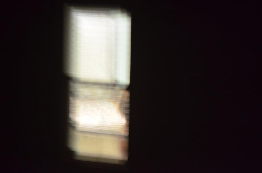 13P Neighbor's Pics