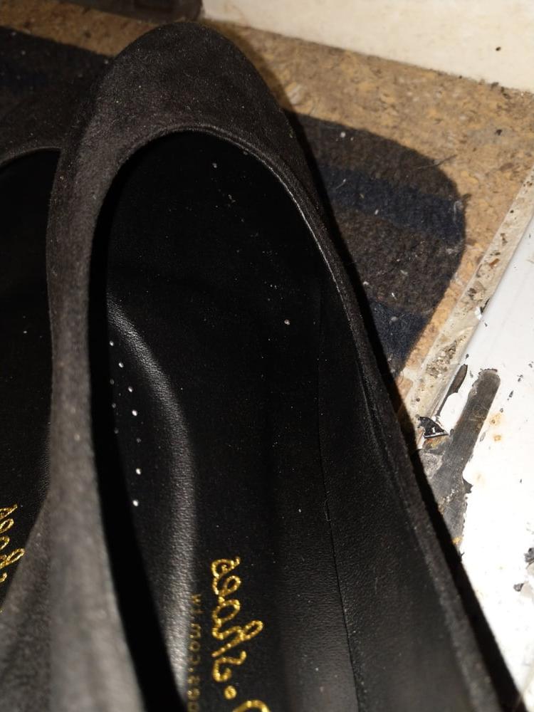 5P Neighbour's new black flat shoes