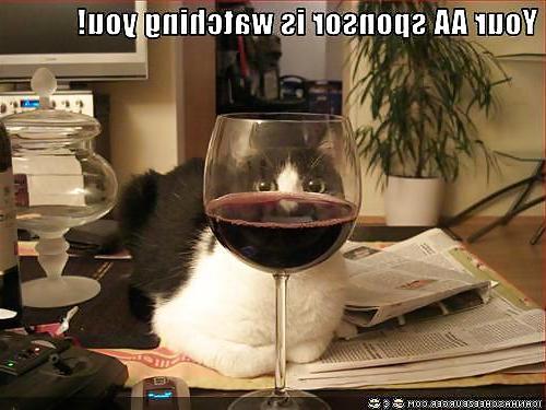 25P Alcohol Related