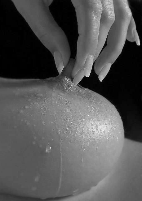 25P Nipples