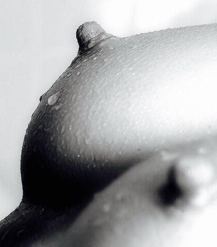 25P Nipples