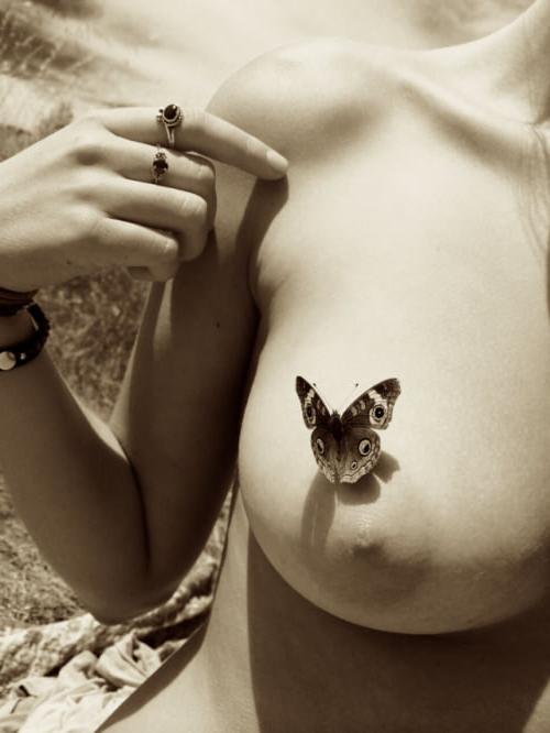 25P Nipples
