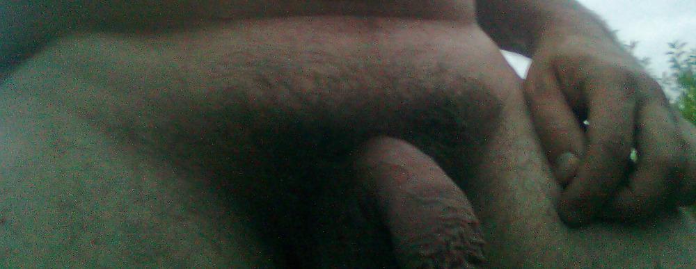 6P Close up in the wood