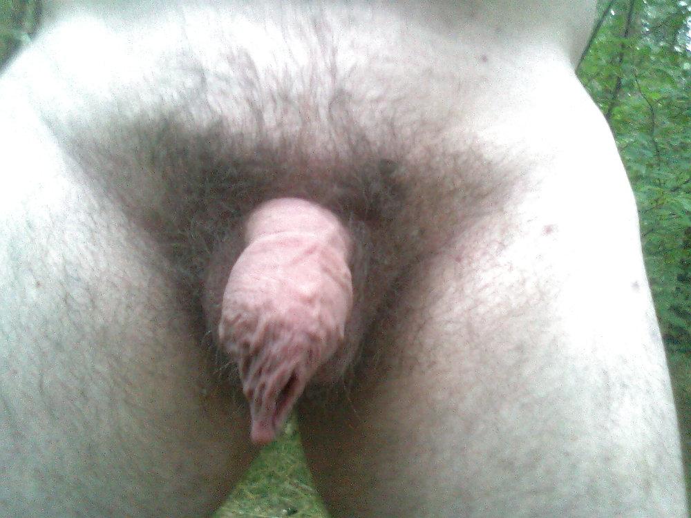 6P Close up in the wood