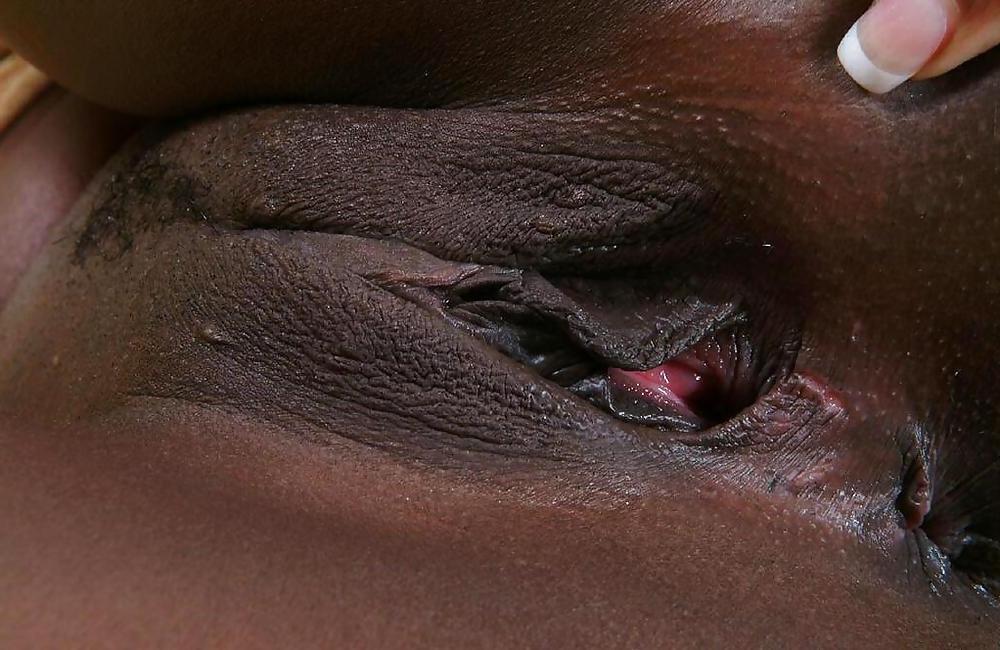 25P HORNY EBONY - Katana