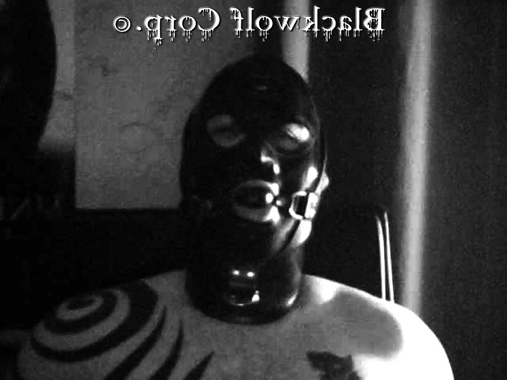 12P B1ackwolf as Rubber Sub Toy