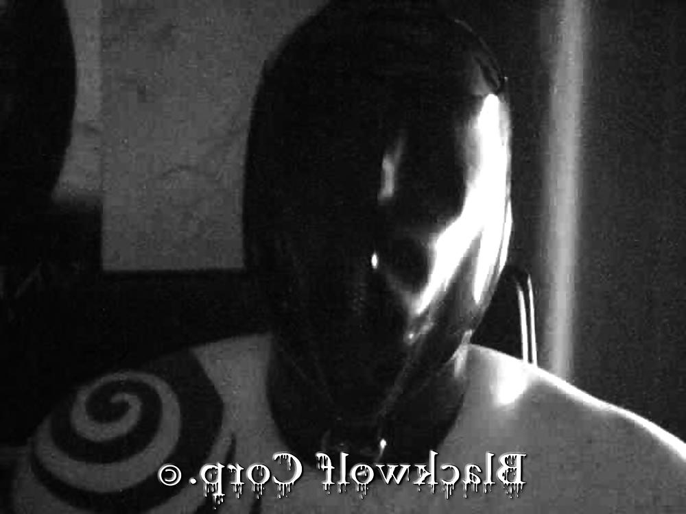12P B1ackwolf as Rubber Sub Toy