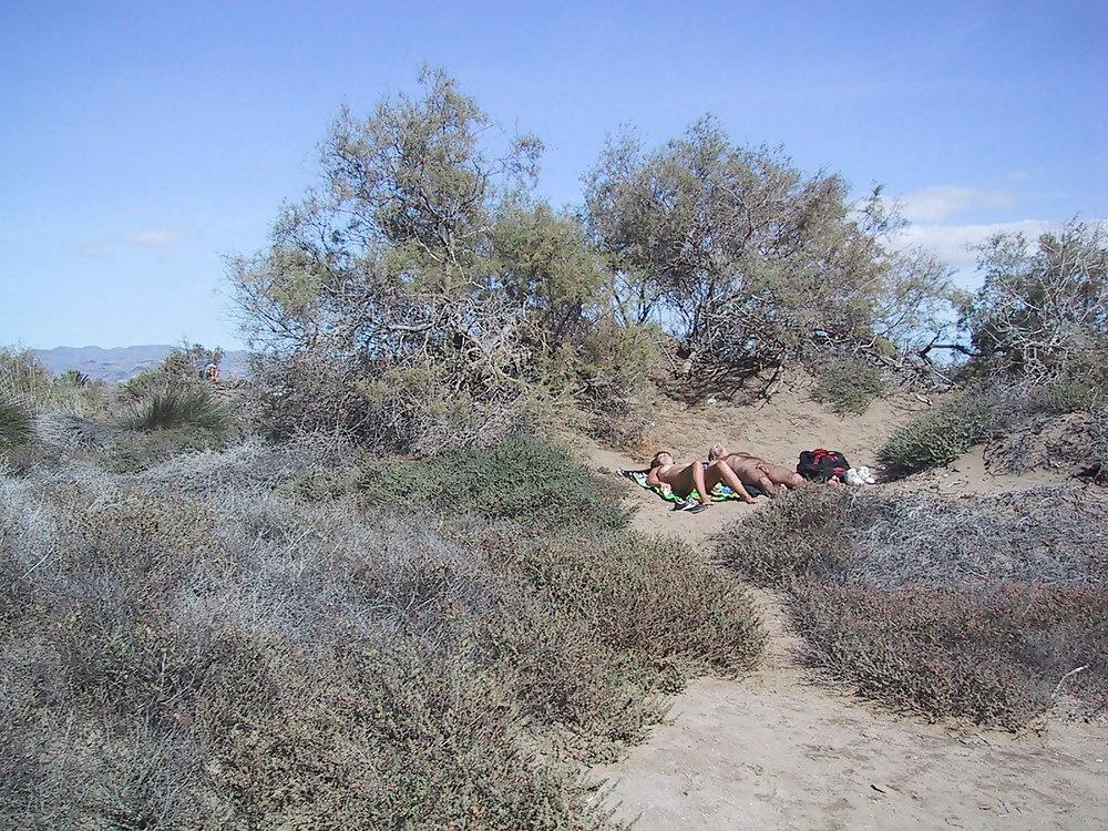 22P Morbo en Dunas de Maspalomas