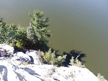 25P Vacation Pics