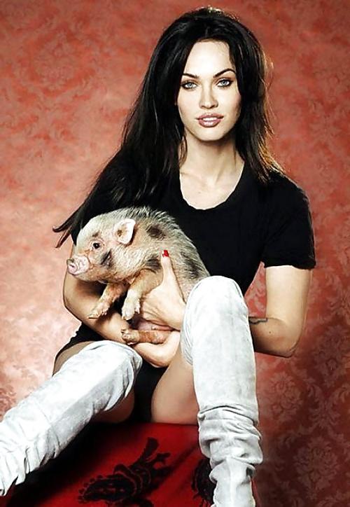 20P Beautiful Ladies and beautiful Pet dogs