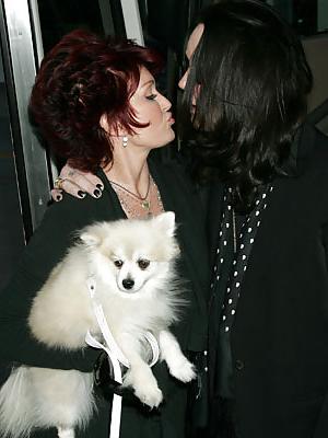 20P Beautiful Ladies and beautiful Pet dogs