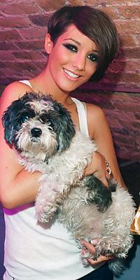 20P Beautiful Ladies and beautiful Pet dogs