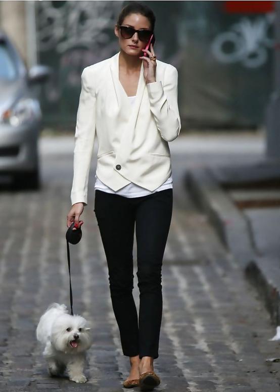 20P Beautiful Ladies and beautiful Pet dogs