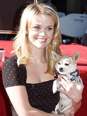 20P Beautiful Ladies and beautiful Pet dogs