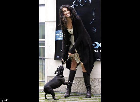 20P Beautiful Ladies and beautiful Pet dogs