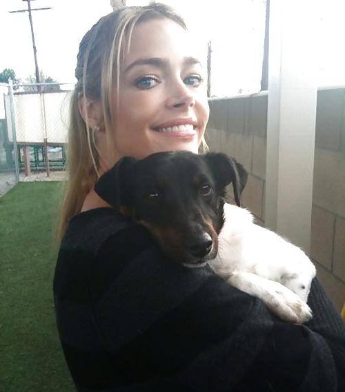 20P Beautiful Ladies and beautiful Pet dogs
