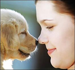 20P Beautiful Ladies and beautiful Pet dogs