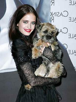 20P Beautiful Ladies and beautiful Pet dogs