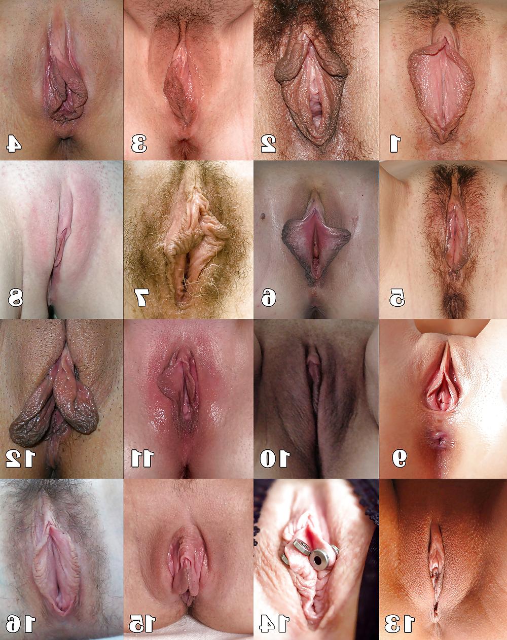 7P - CHOOSE YOUR VAGINA - 