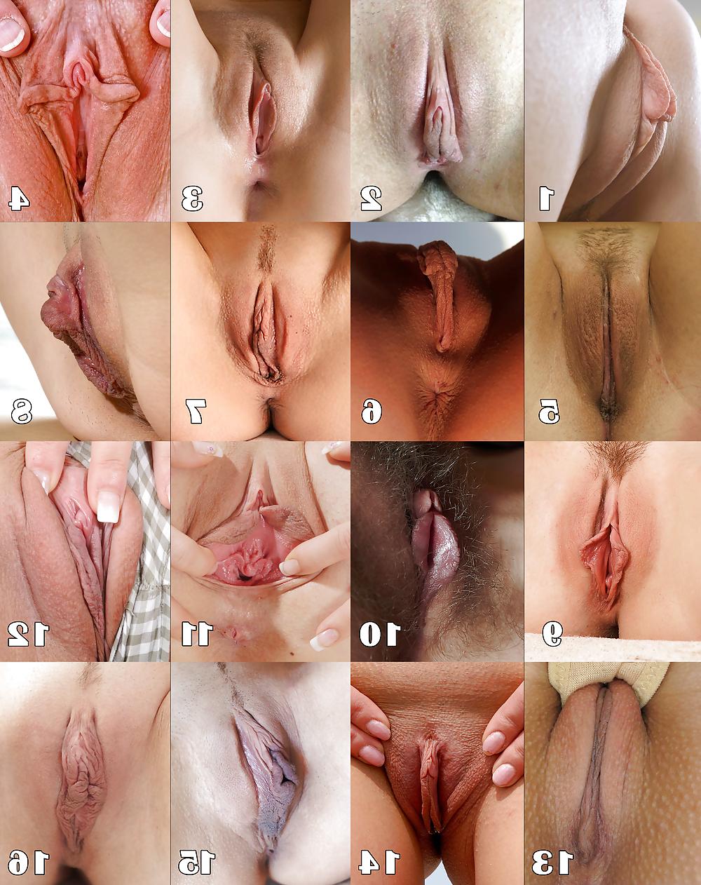 7P - CHOOSE YOUR VAGINA - 