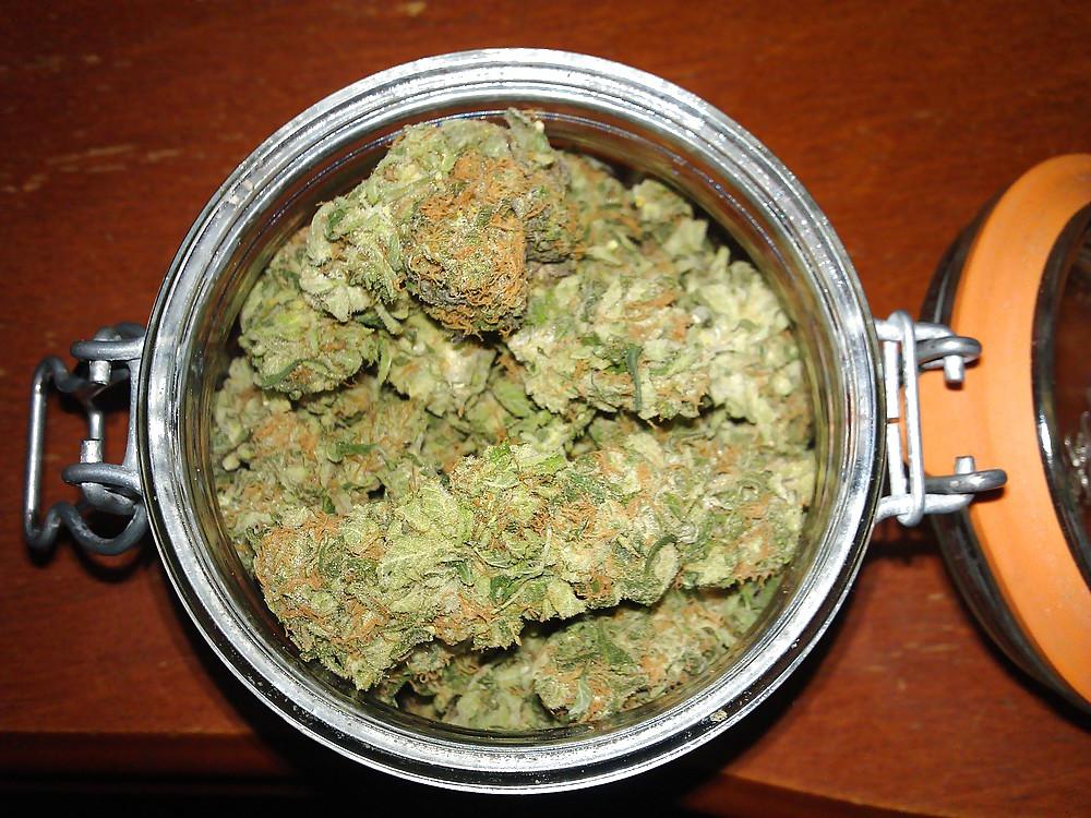 10P Marijuana Porn