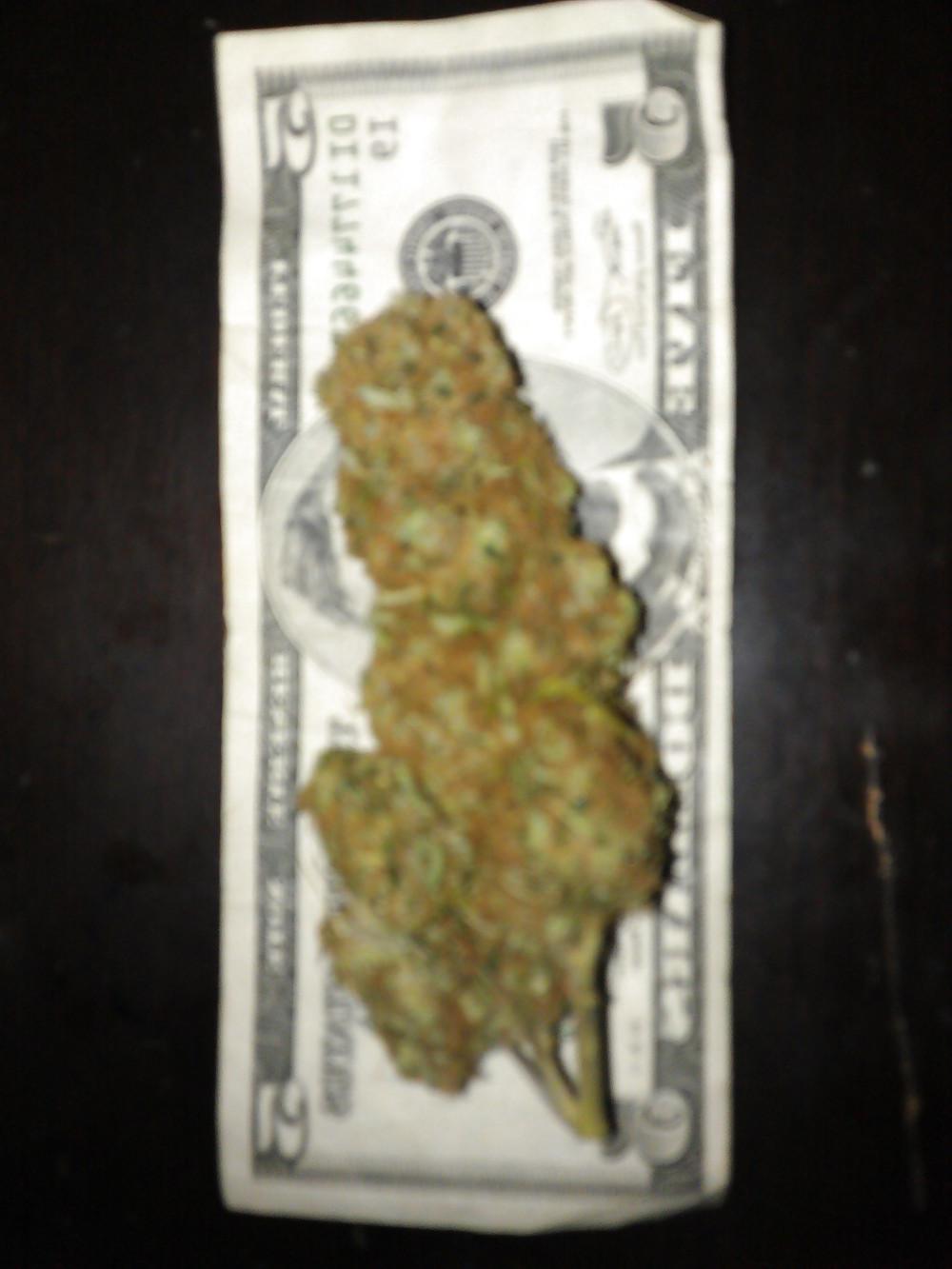10P Marijuana Porn