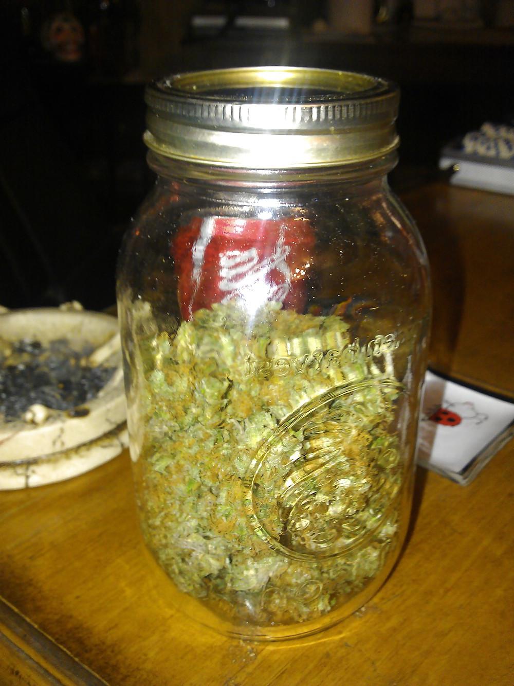 10P Marijuana Porn
