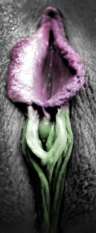 25P Non porn photoworks
