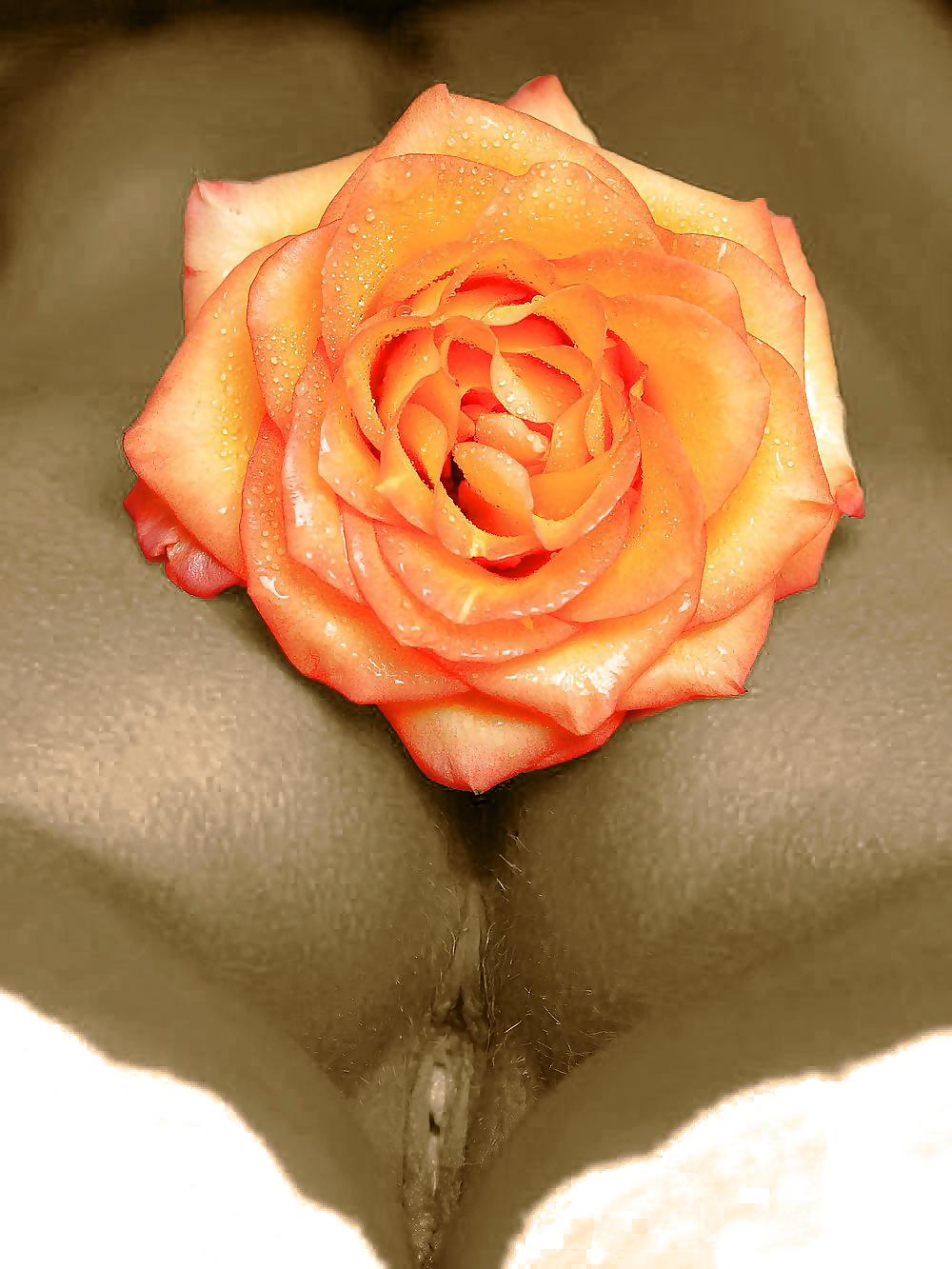 25P Non porn photoworks