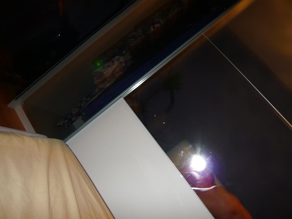 6P Ich und mein dicker Hintern 3