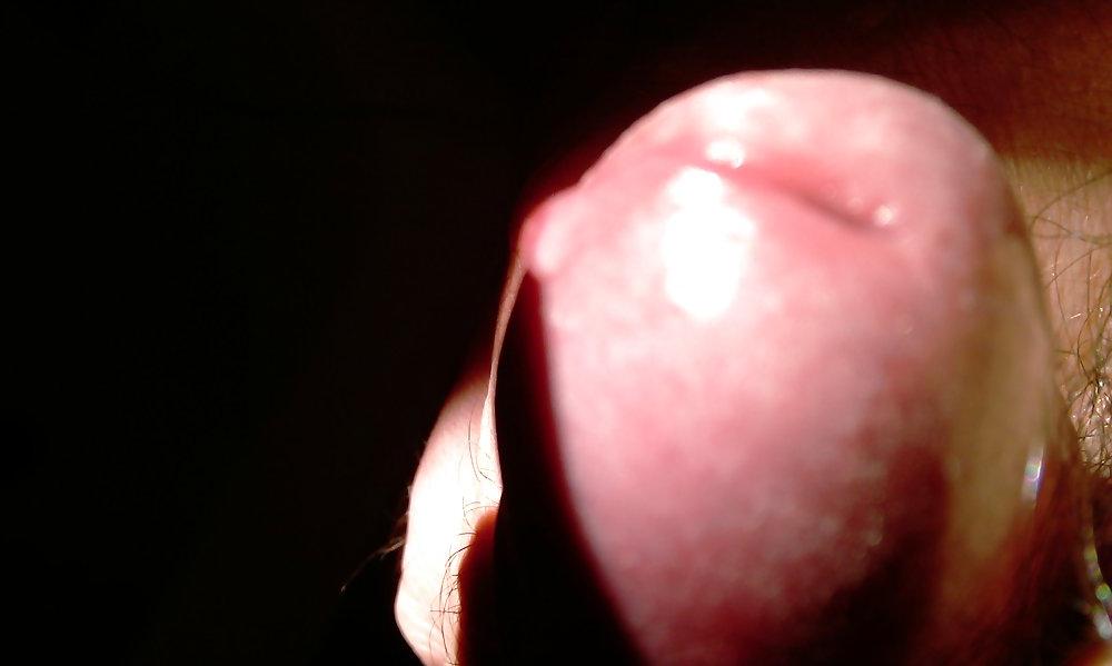 25P Cock head close up