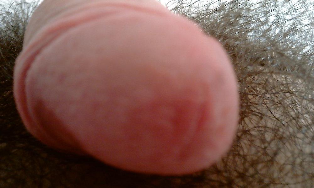 25P Cock head close up