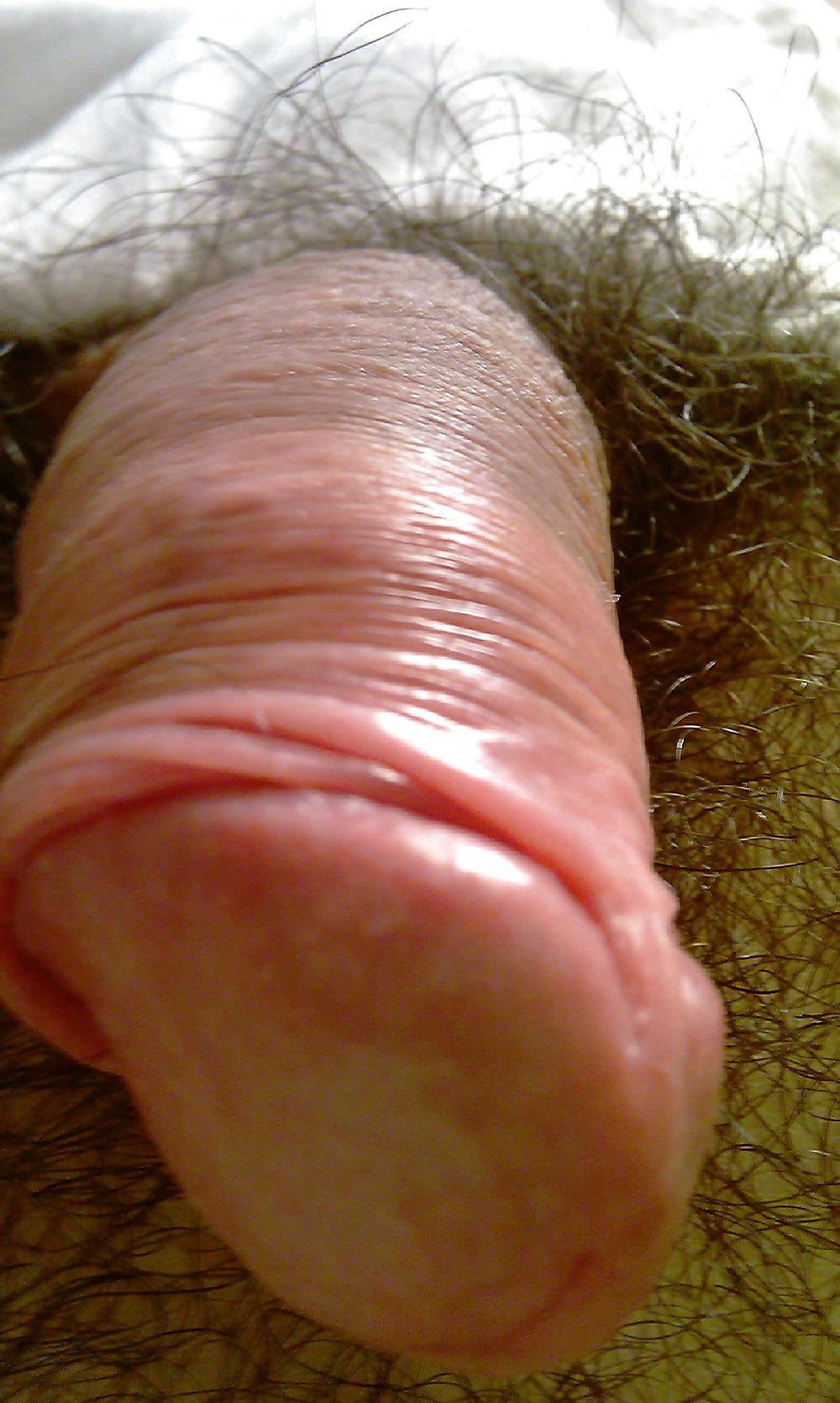 25P Cock head close up