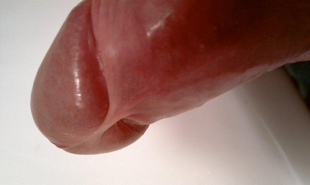 25P Cock head close up