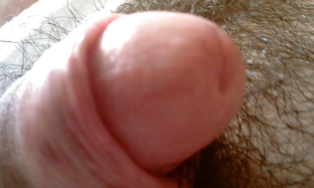 25P Cock head close up