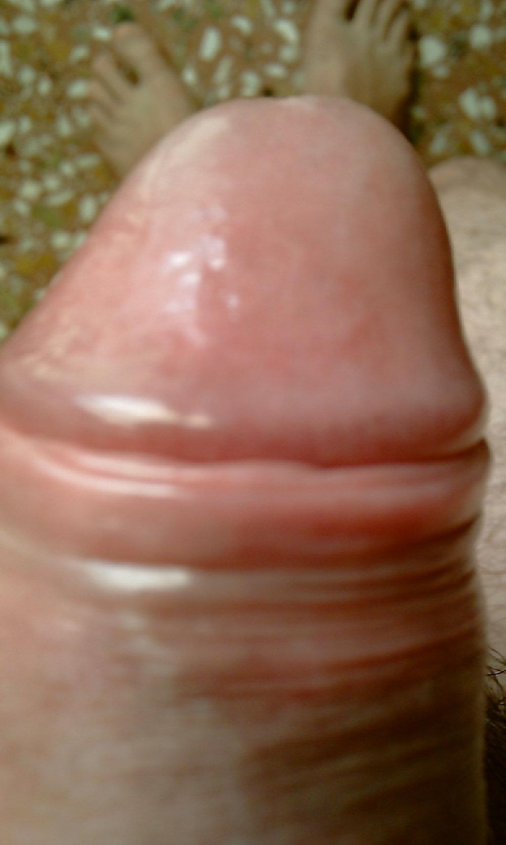 25P Cock head close up