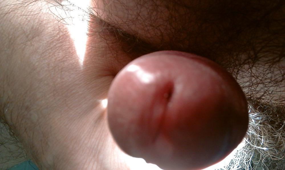 25P Cock head close up