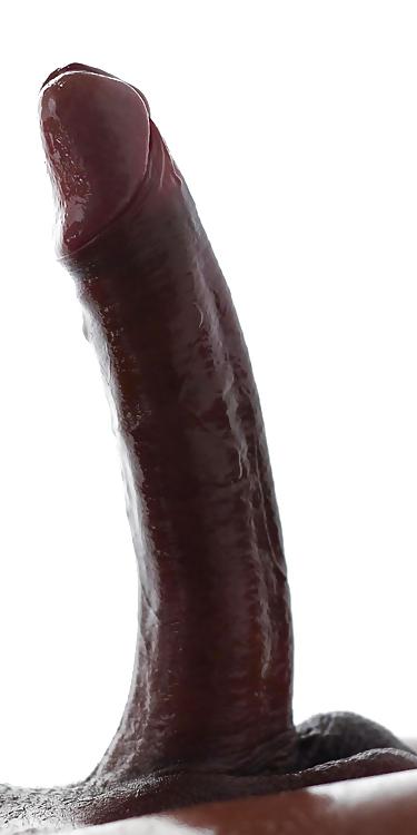 13P Black cock is my main food source