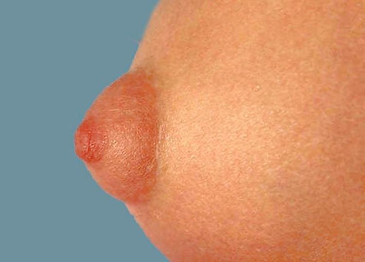 25P Some nice nipples 2