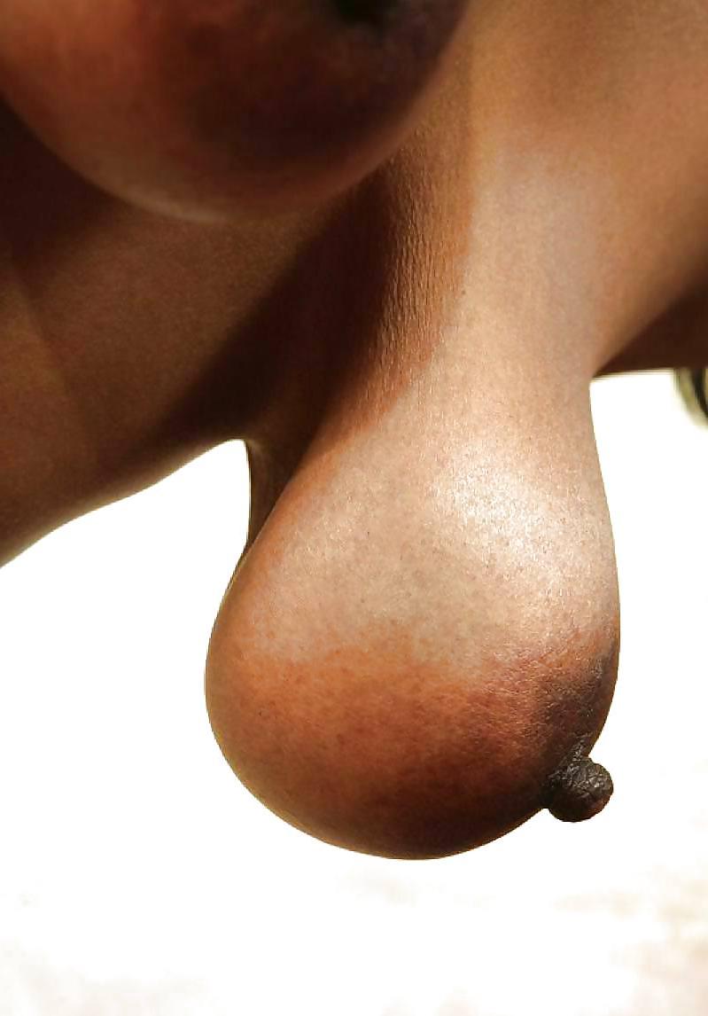 15P Choco Areolas and nipples