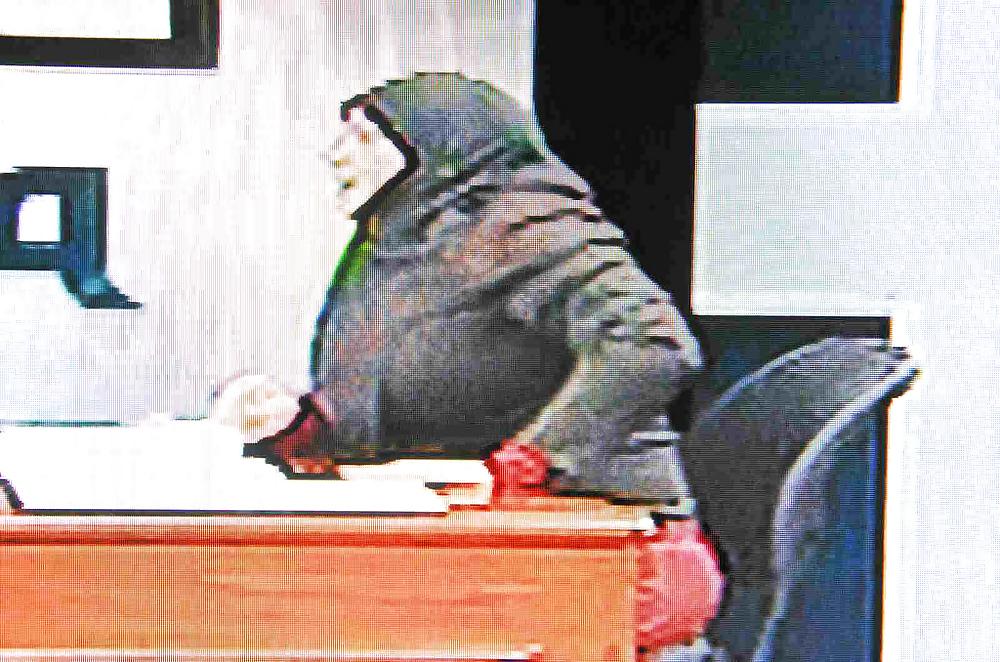 25P Hijab presenter