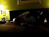 25P Screenshots from the amateur movies