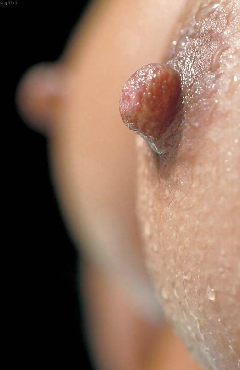 12P Nipples