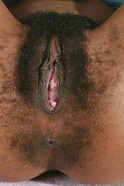 18P I like black pussy and asses 59