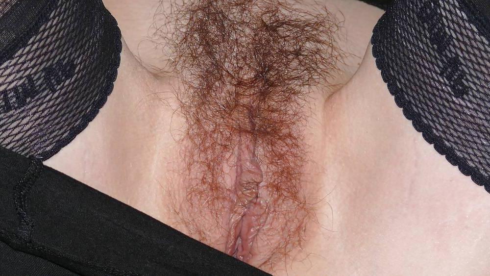 19P Various close up of my hairy pussy