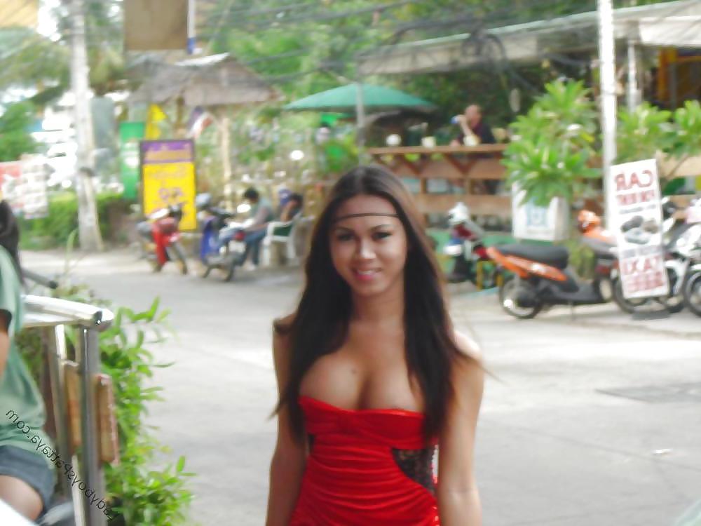 25P J' aime 123 Ladyboy Shemales
